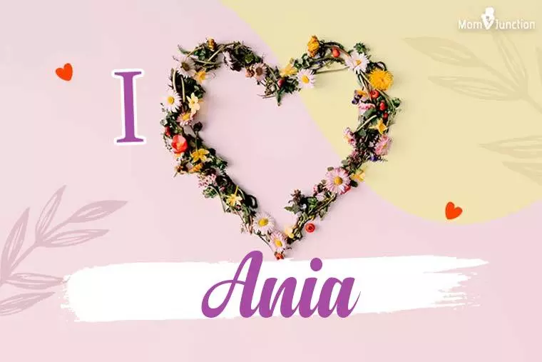 I Love Ania Wallpaper