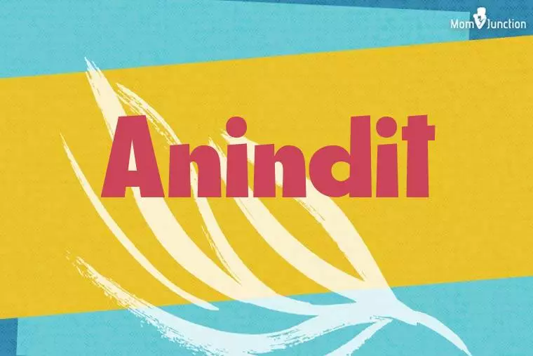 Anindit Stylish Wallpaper