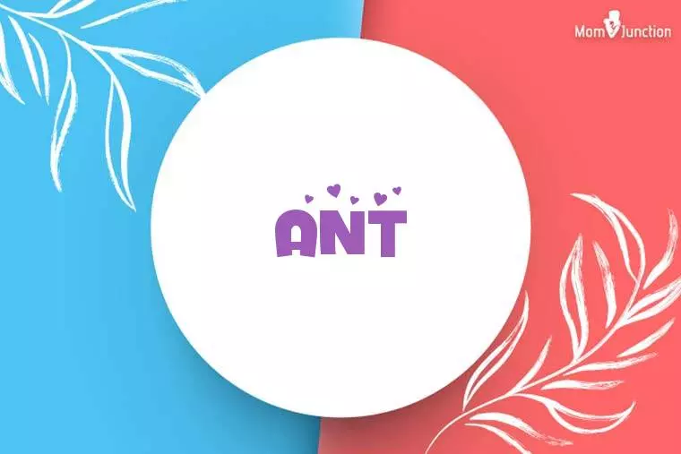 Ant Stylish Wallpaper