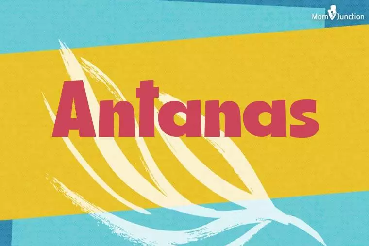 Antanas Stylish Wallpaper