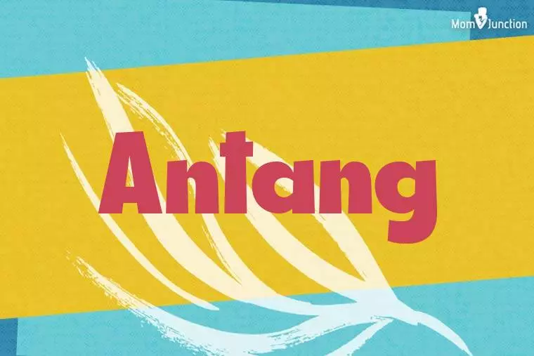 Antang Stylish Wallpaper