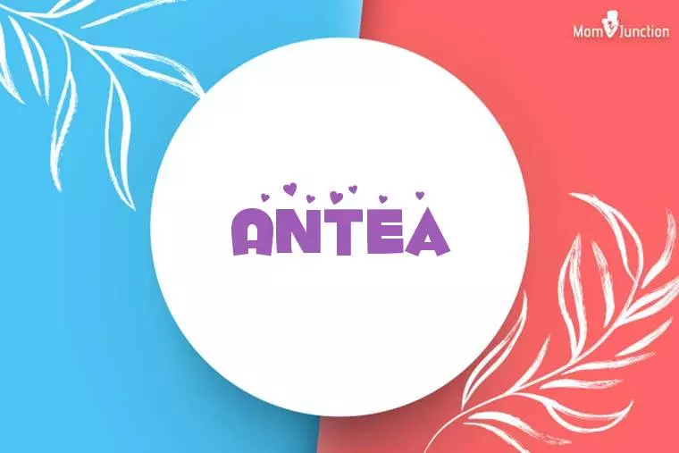 Antea Stylish Wallpaper