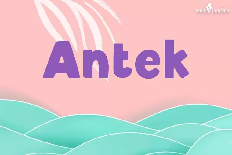 Antek Stylish Wallpaper