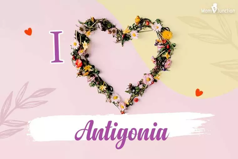 I Love Antigonia Wallpaper