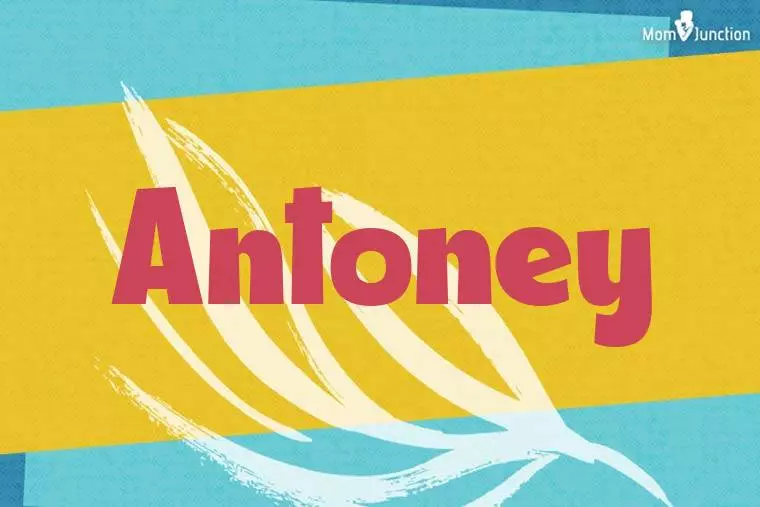 Antoney Stylish Wallpaper