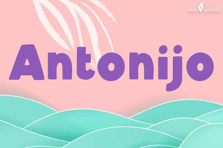 Antonijo Stylish Wallpaper