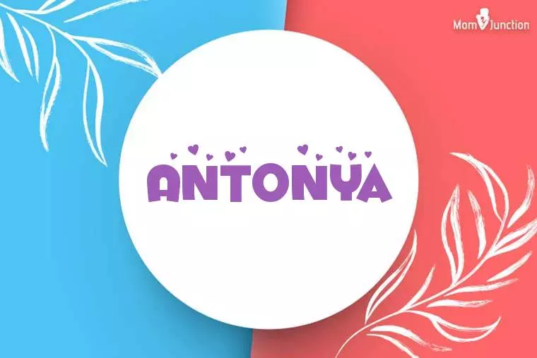 Antonya Stylish Wallpaper