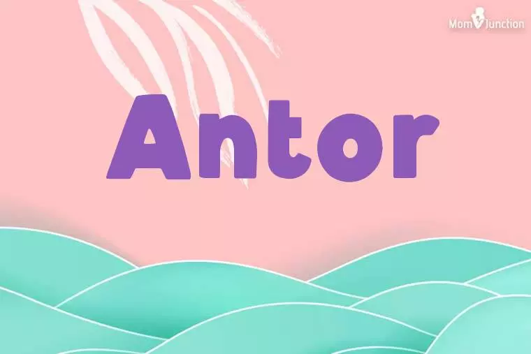 Antor Stylish Wallpaper