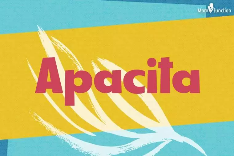 Apacita Stylish Wallpaper