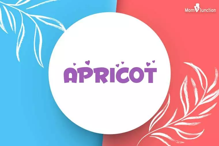 Apricot Stylish Wallpaper