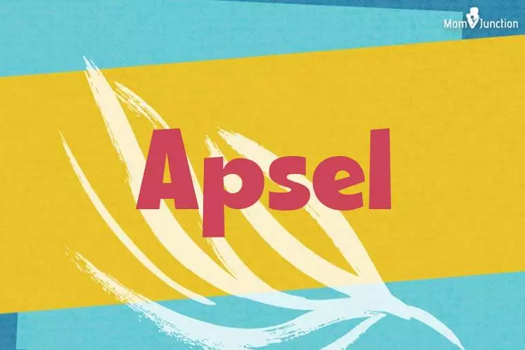 Apsel Stylish Wallpaper