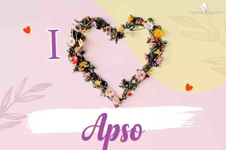 I Love Apso Wallpaper