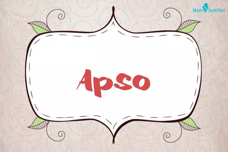 Apso Stylish Wallpaper