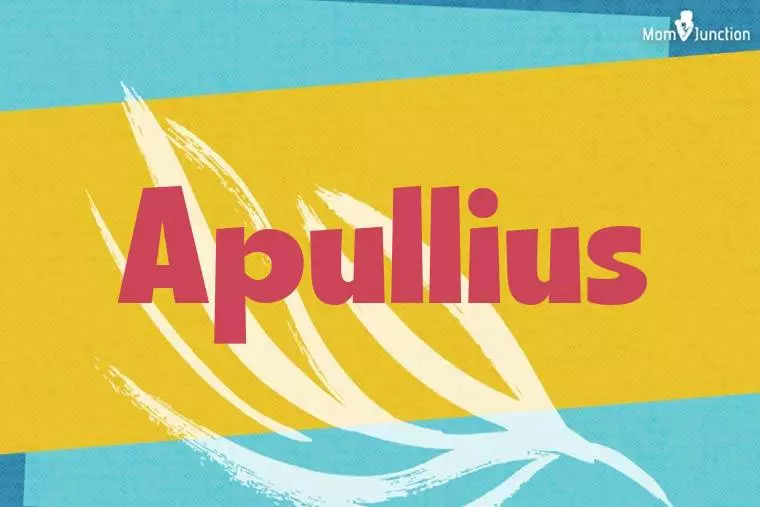 Apullius Stylish Wallpaper