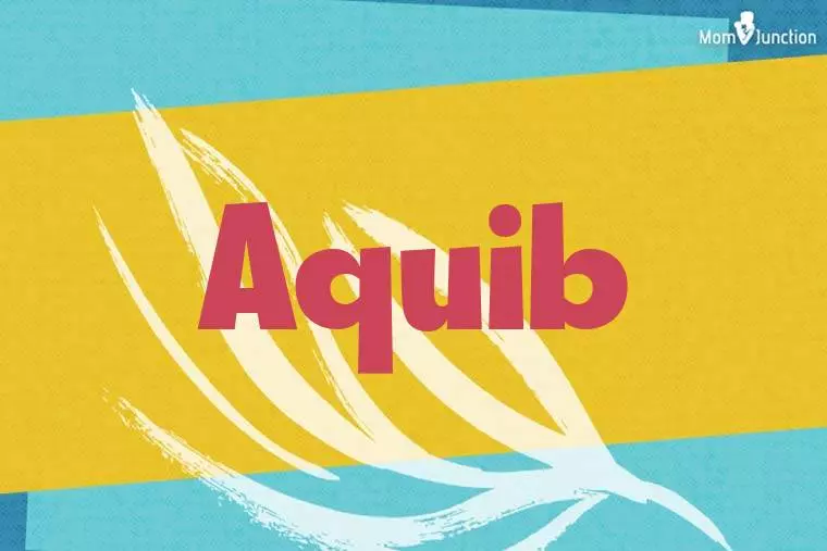 Aquib Stylish Wallpaper