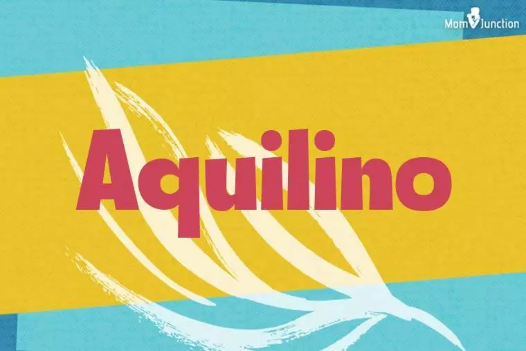 Aquilino Stylish Wallpaper