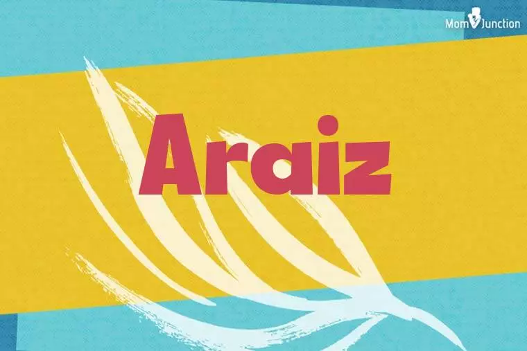 Araiz Stylish Wallpaper