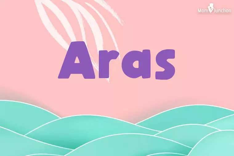 Aras Stylish Wallpaper