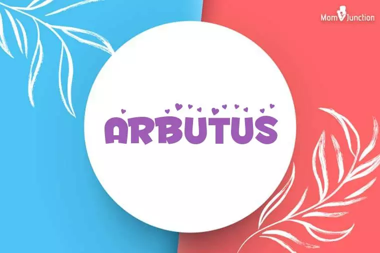 Arbutus Stylish Wallpaper