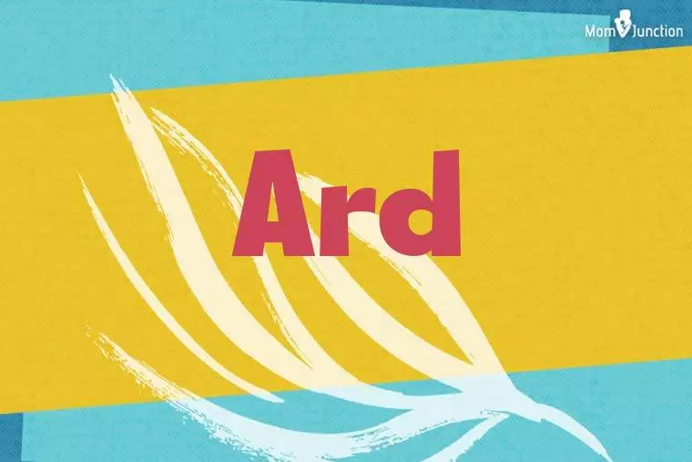 Ard Stylish Wallpaper