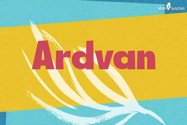 Ardvan Stylish Wallpaper