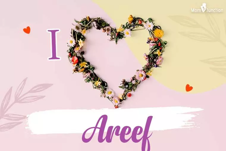 I Love Areef Wallpaper