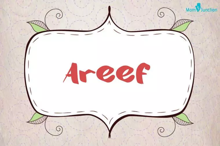 Areef Stylish Wallpaper