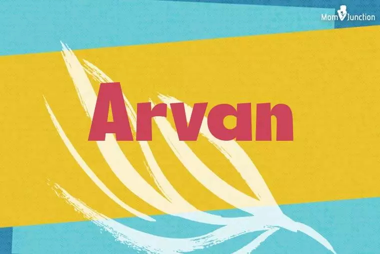 Arvan Stylish Wallpaper