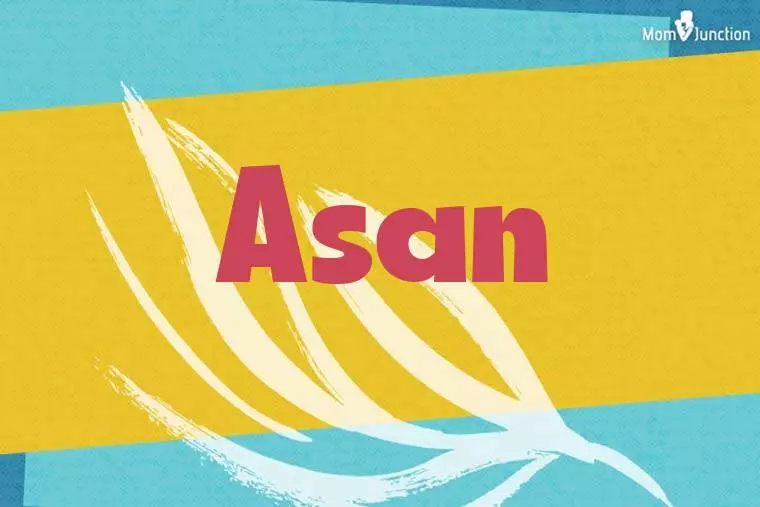 Asan Stylish Wallpaper