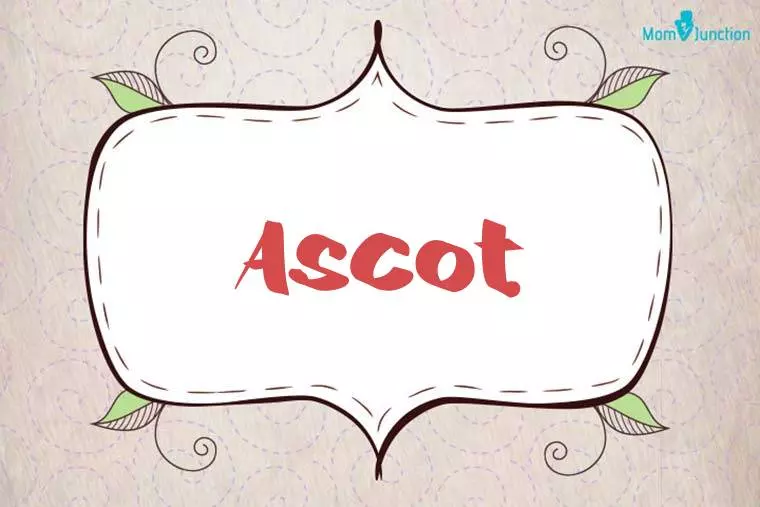 Ascot Stylish Wallpaper