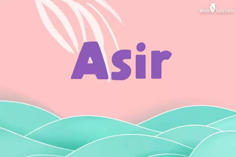 Asir Stylish Wallpaper