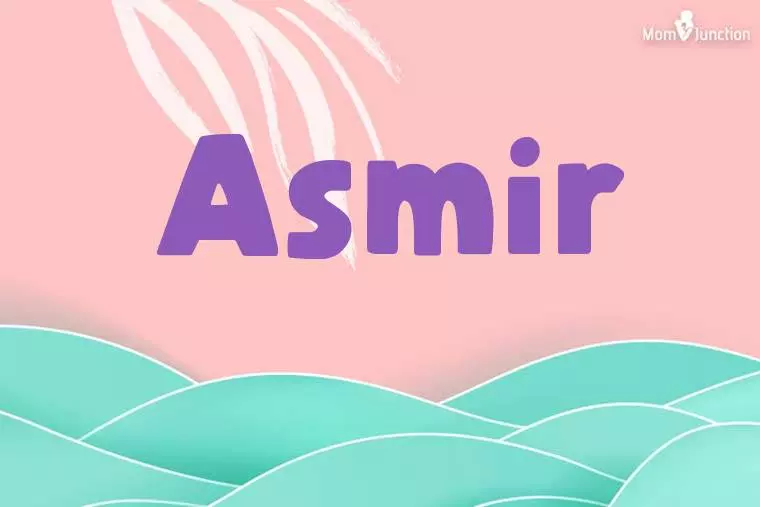 Asmir Stylish Wallpaper