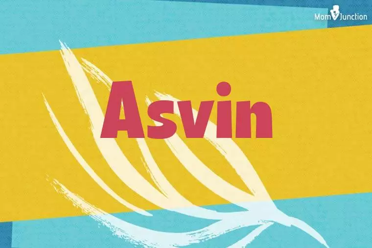 Asvin Stylish Wallpaper