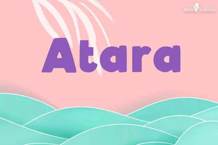 Atara Stylish Wallpaper