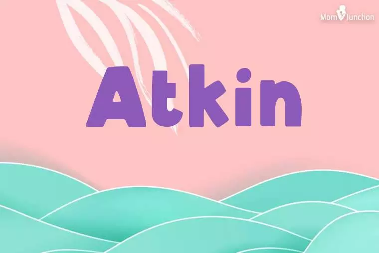 Atkin Stylish Wallpaper