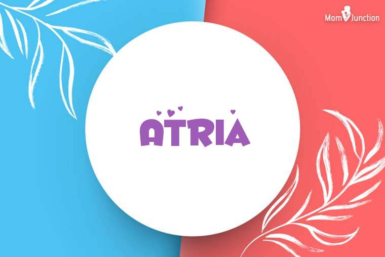 Atria Stylish Wallpaper