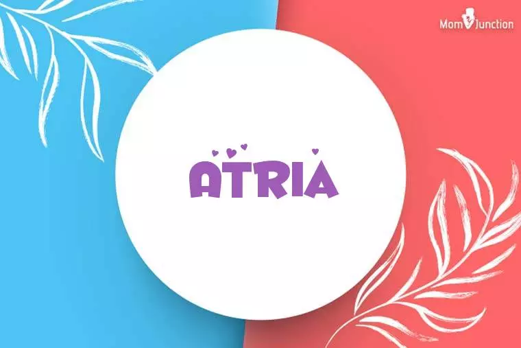 Atria Stylish Wallpaper