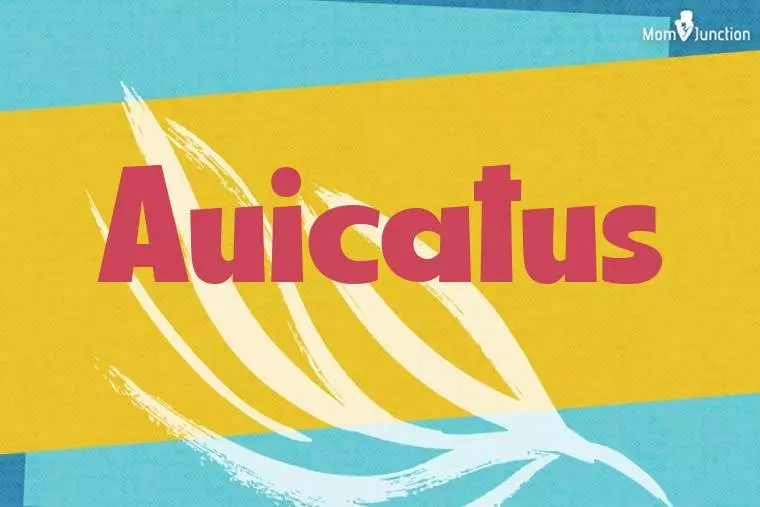 Auicatus Stylish Wallpaper