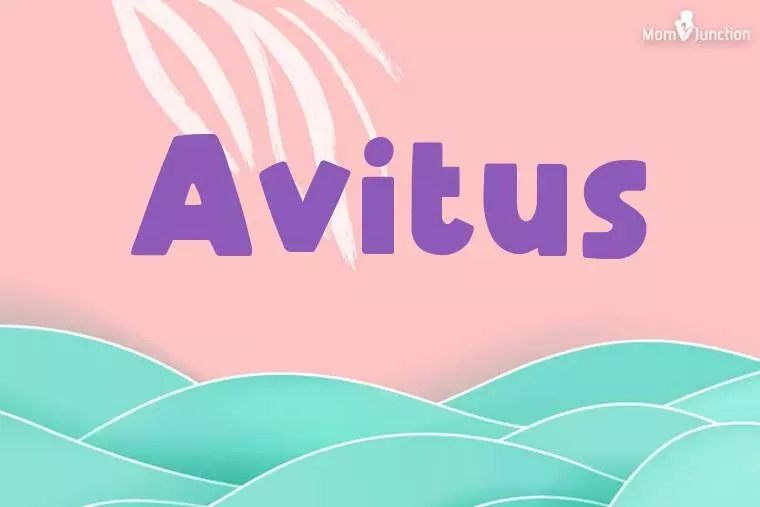 Avitus Stylish Wallpaper