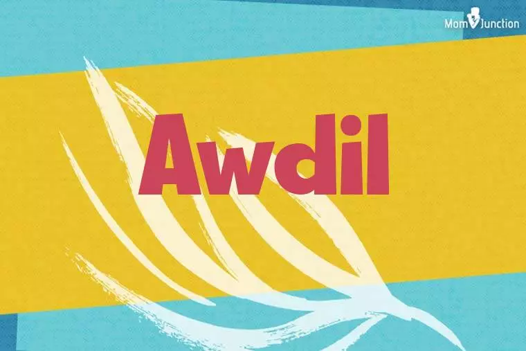 Awdil Stylish Wallpaper