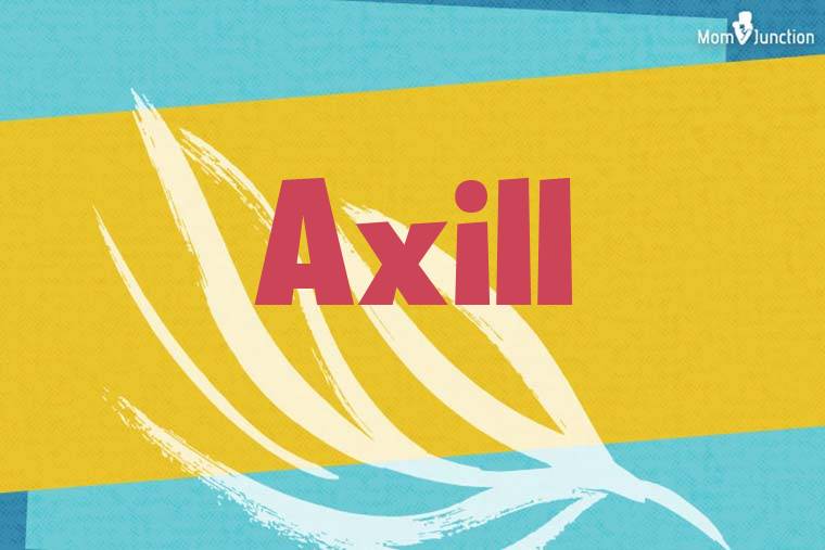 Axill Stylish Wallpaper