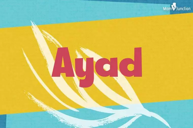 Ayad Stylish Wallpaper