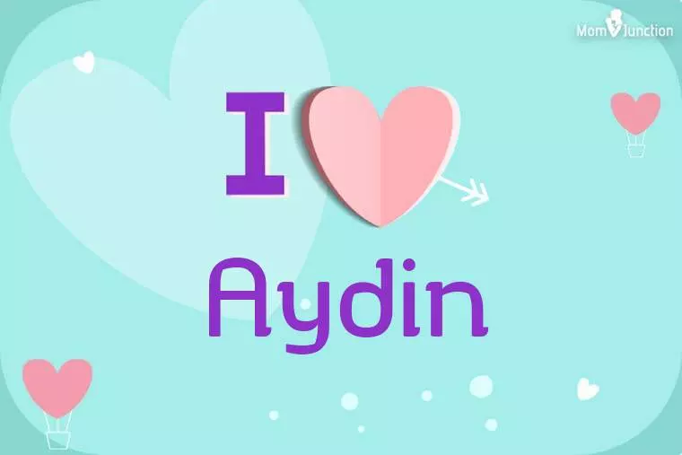 I Love Aydin Wallpaper