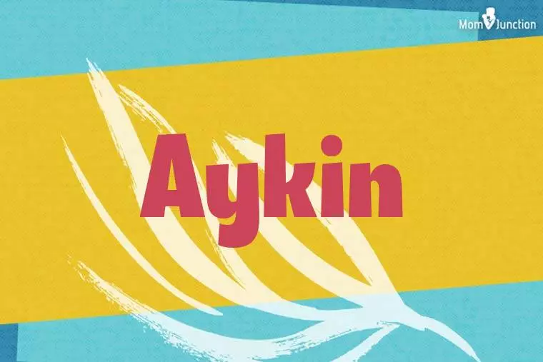 Aykin Stylish Wallpaper