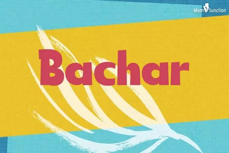 Bachar Stylish Wallpaper