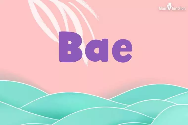 Bae Stylish Wallpaper