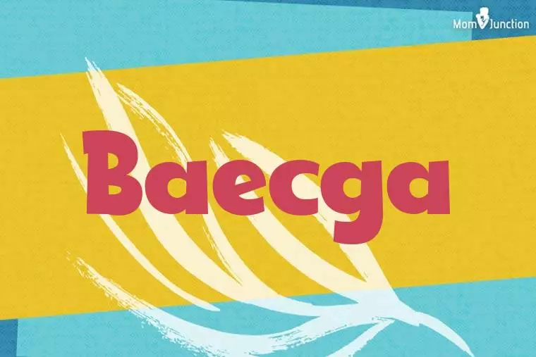 Baecga Stylish Wallpaper