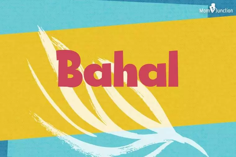 Bahal Stylish Wallpaper