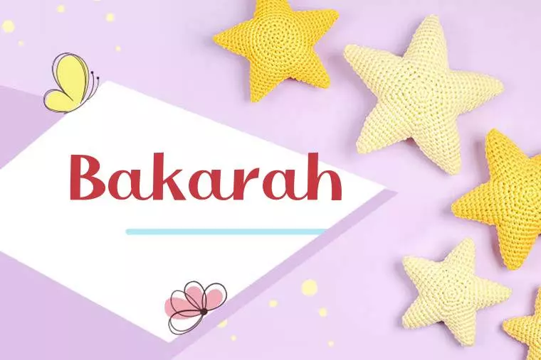 Bakarah Stylish Wallpaper