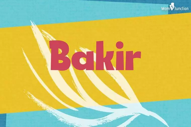 Bakir Stylish Wallpaper